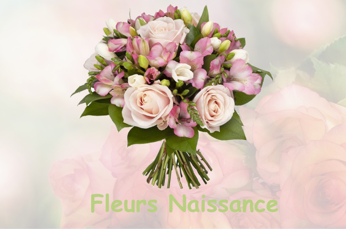 fleurs naissance HUELGOAT