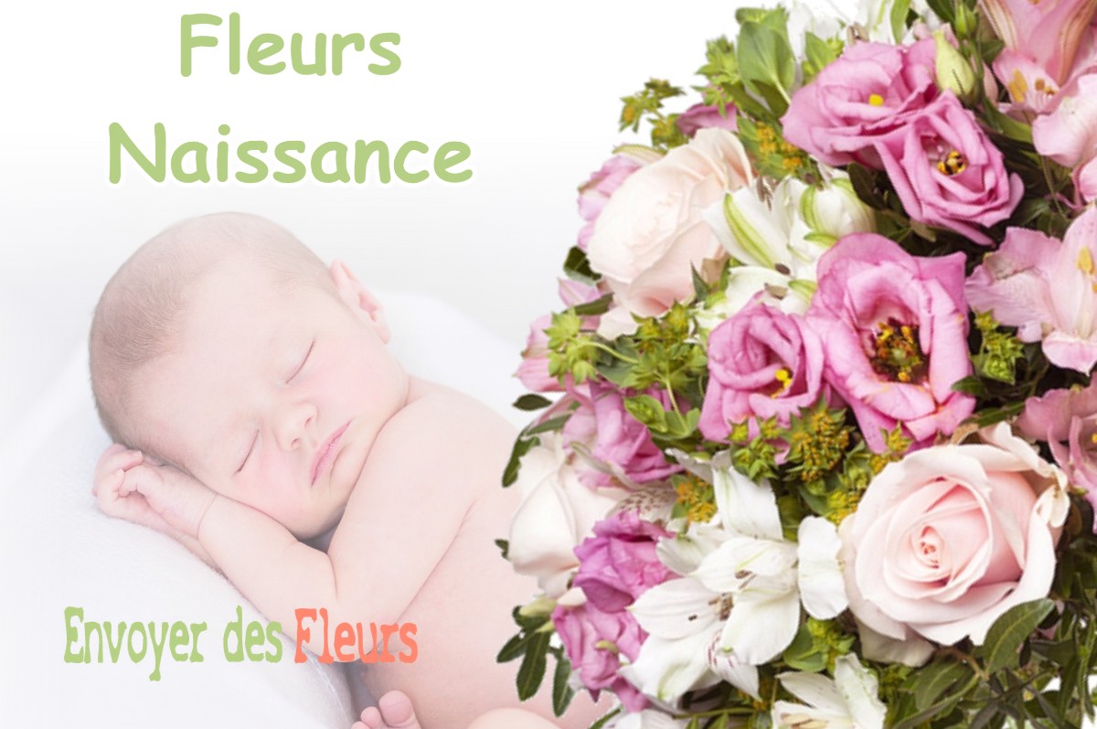 lIVRAISON FLEURS NAISSANCE à HUELGOAT